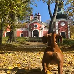 Libling Podkrovny